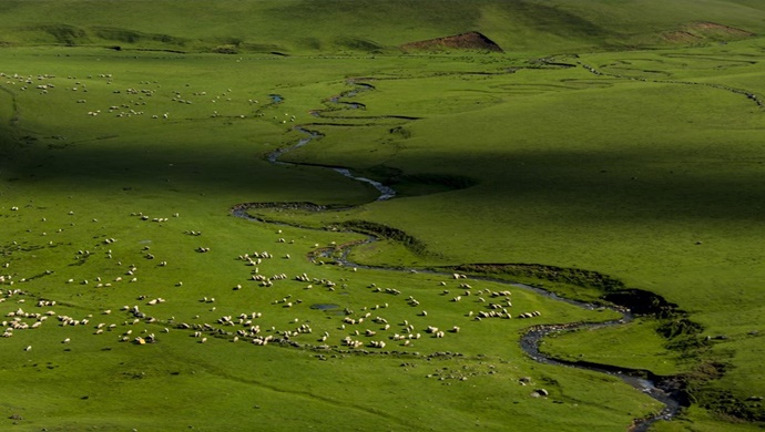 Ordu Aybastı Perşembe Yaylası – Menderesler