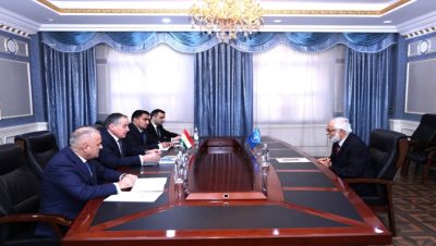 Meeting of the Minister of Foreign Affairs with the Resident Representative of the UNDP in Tajikistan